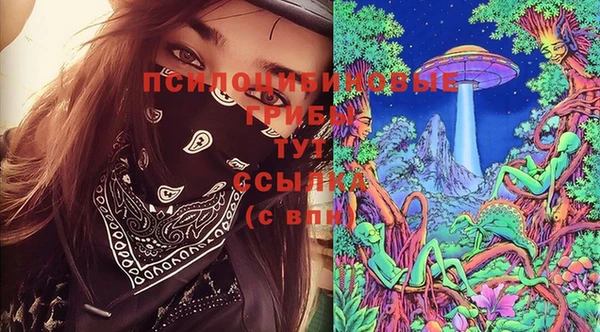 гидропоника Снежинск