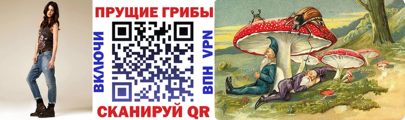 Купить где  Рассказово  Псилоцибиновые грибы мицелий 